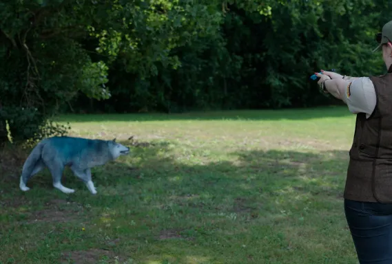 Ein Demobild der Veranstaltung